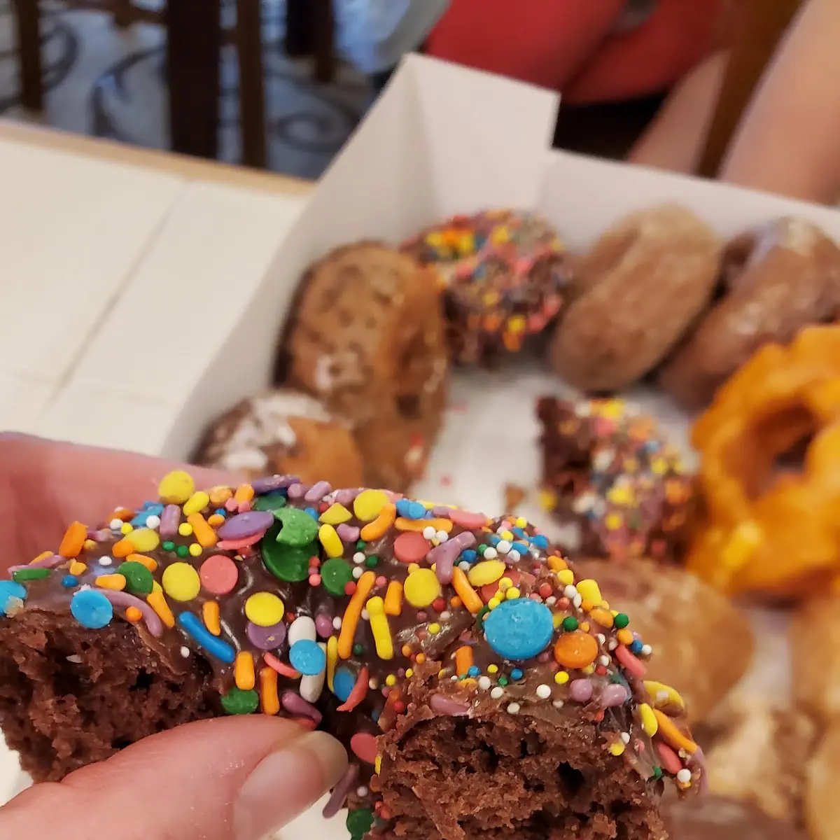 Party Sprinkles on Chocolate Cake Donut