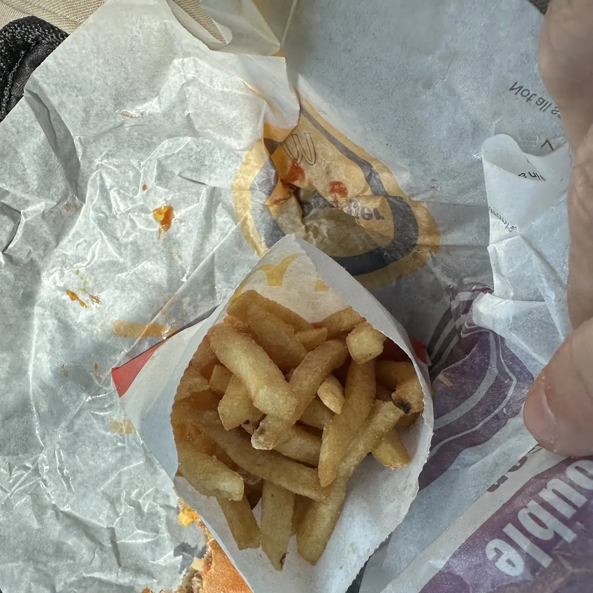 World Famous Fries