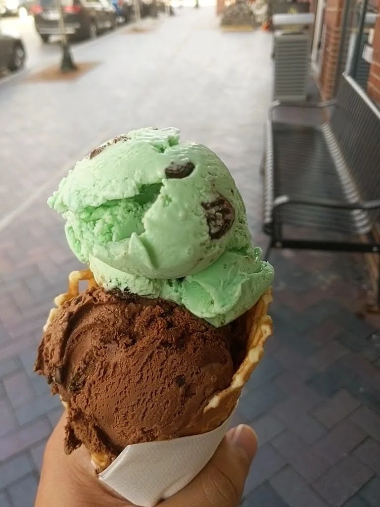 Waffle Cone Mint Chocolate Chip Dark Chocolate