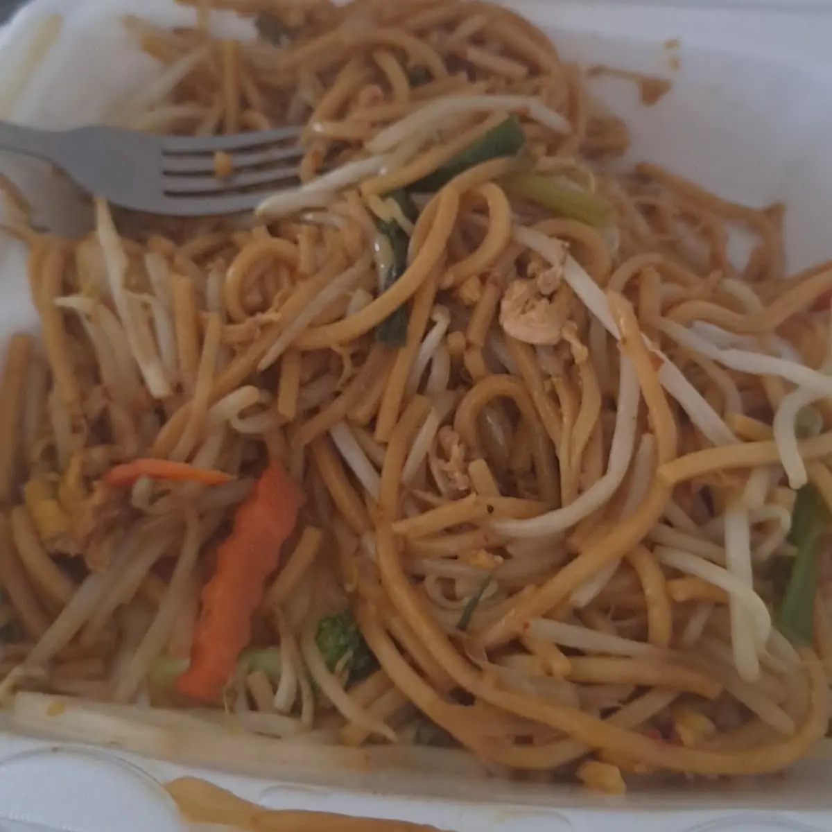 Vegetable Chow Mein