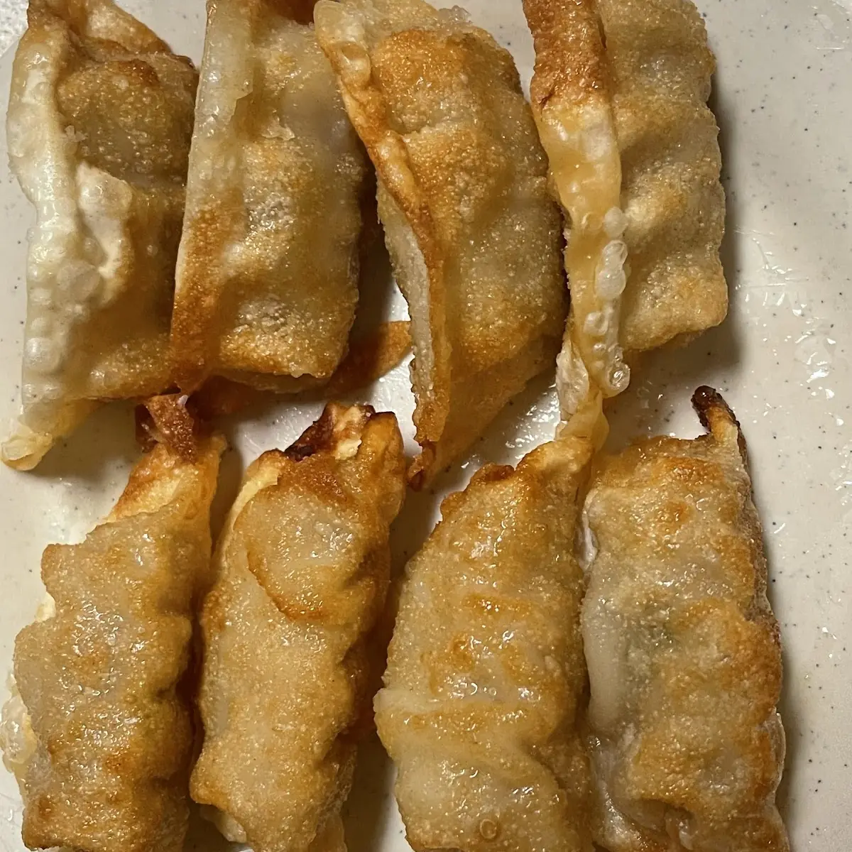 Fried Dumpling