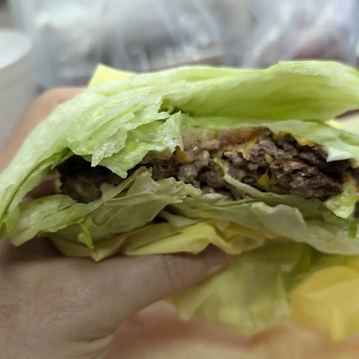 Lettuce Wrapped Double Cheeseburger
