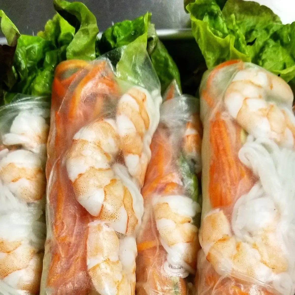 Shrimp Spring Rolls
