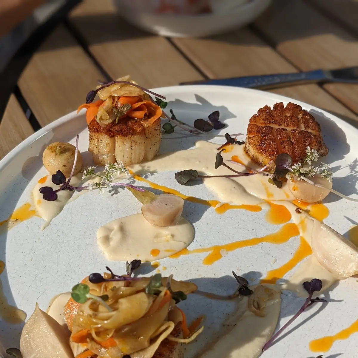 Sea Scallops