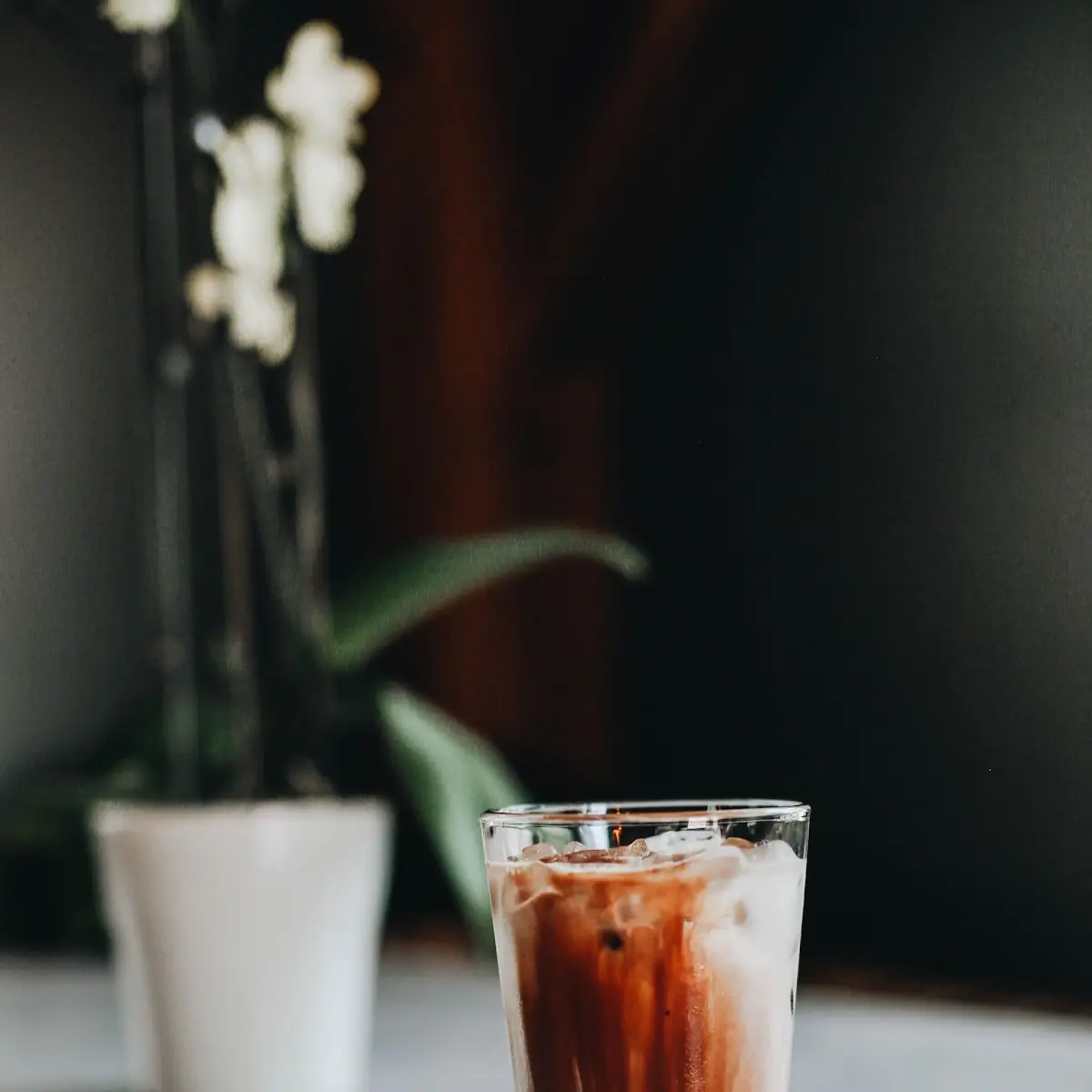 Cold Brew