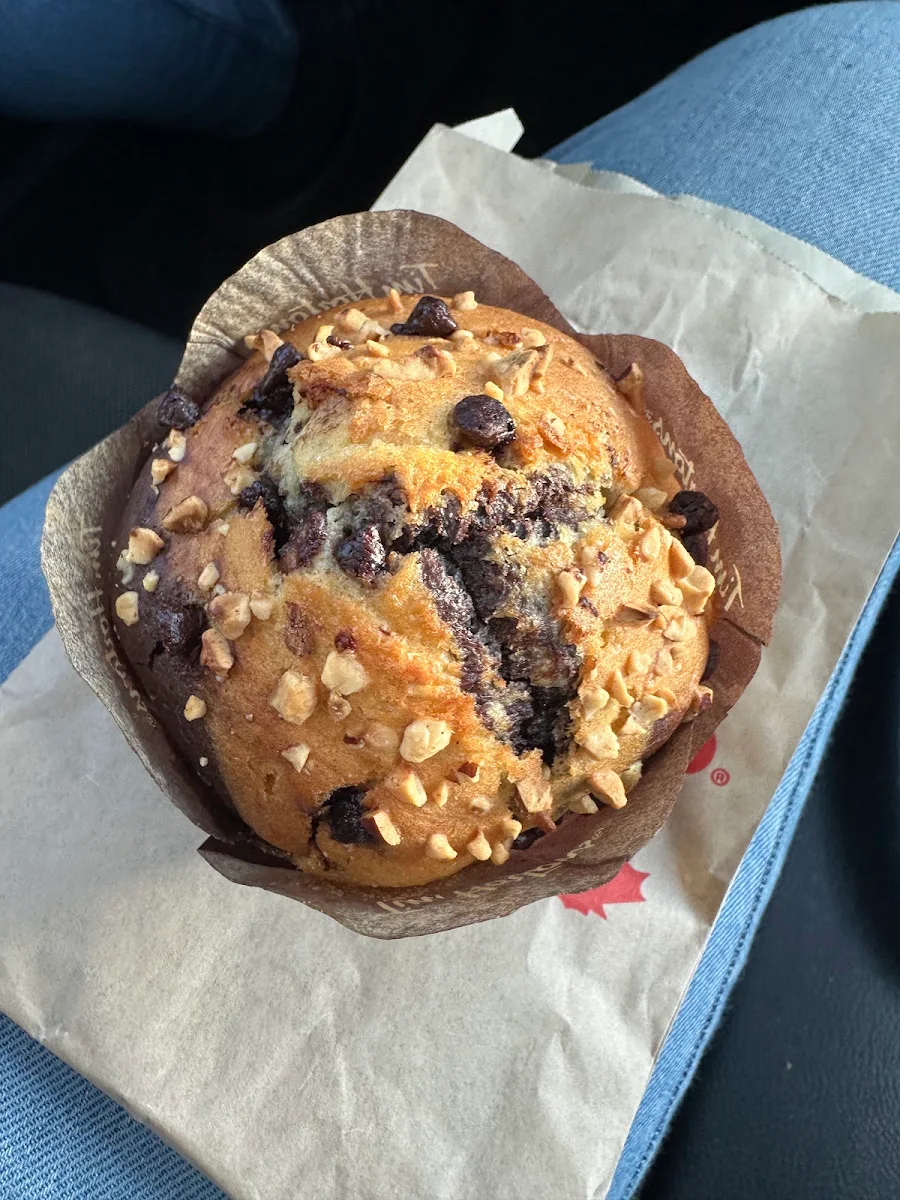 Hazelnut Chocolate Muffins, Tim Hortons