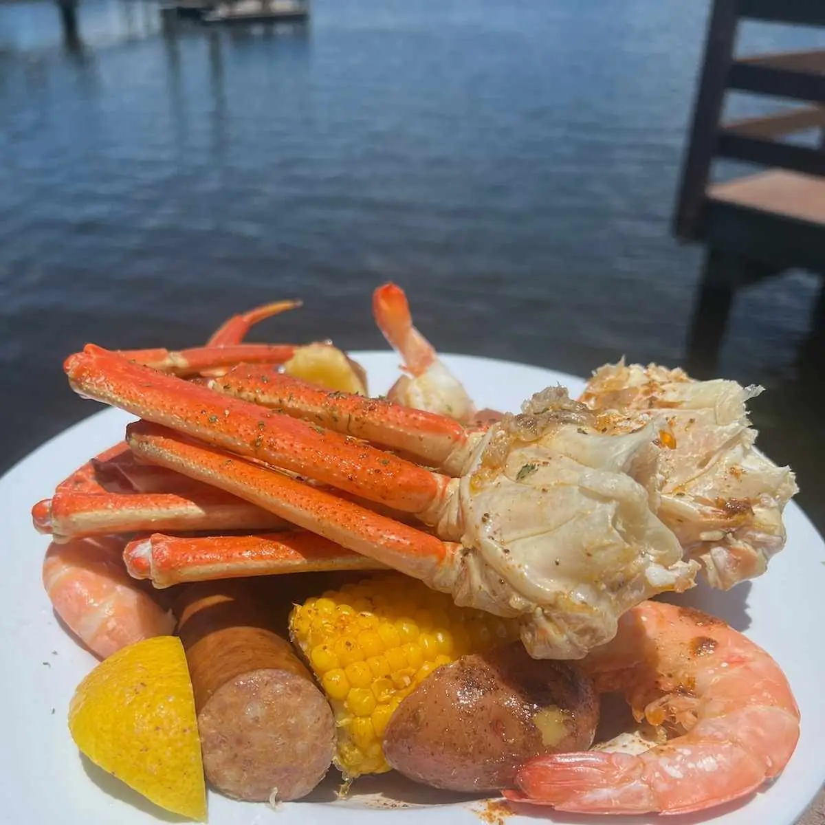 Snow Crab