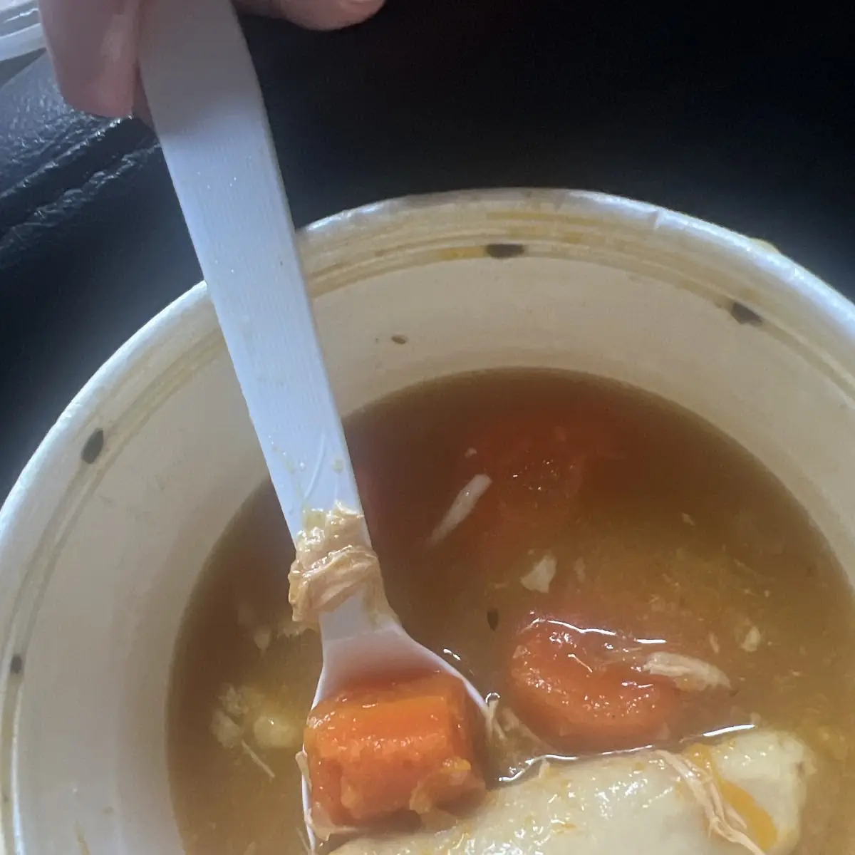 Chicken Soup