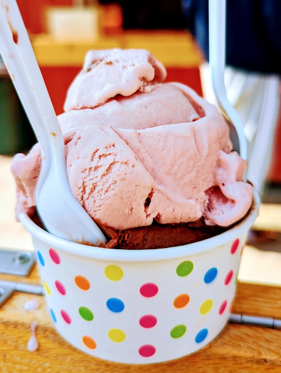 Double Scoop Raspberry and Dark Chocolate