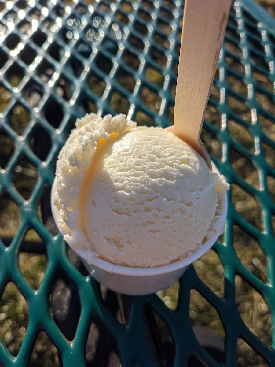 Vanilla Ice Cream