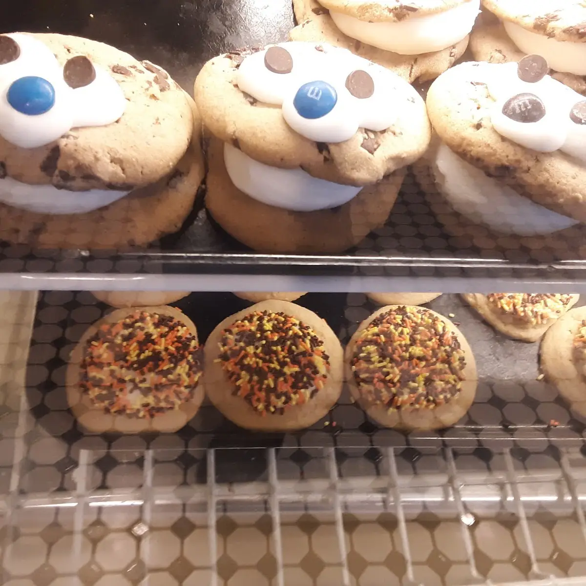 Doughnut