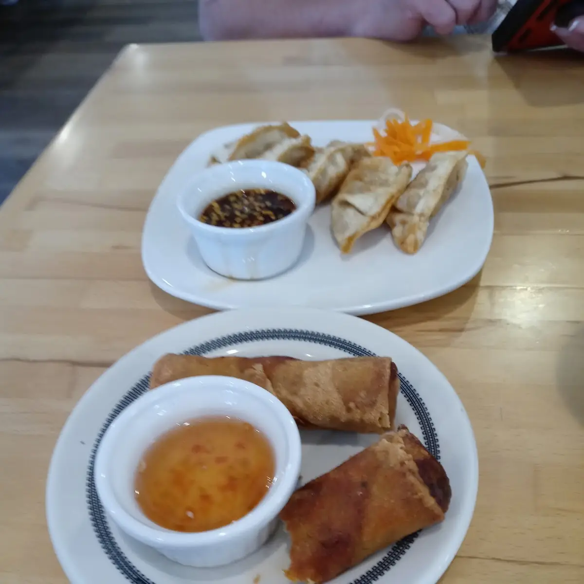 Fried Spring Rolls and Dumplings