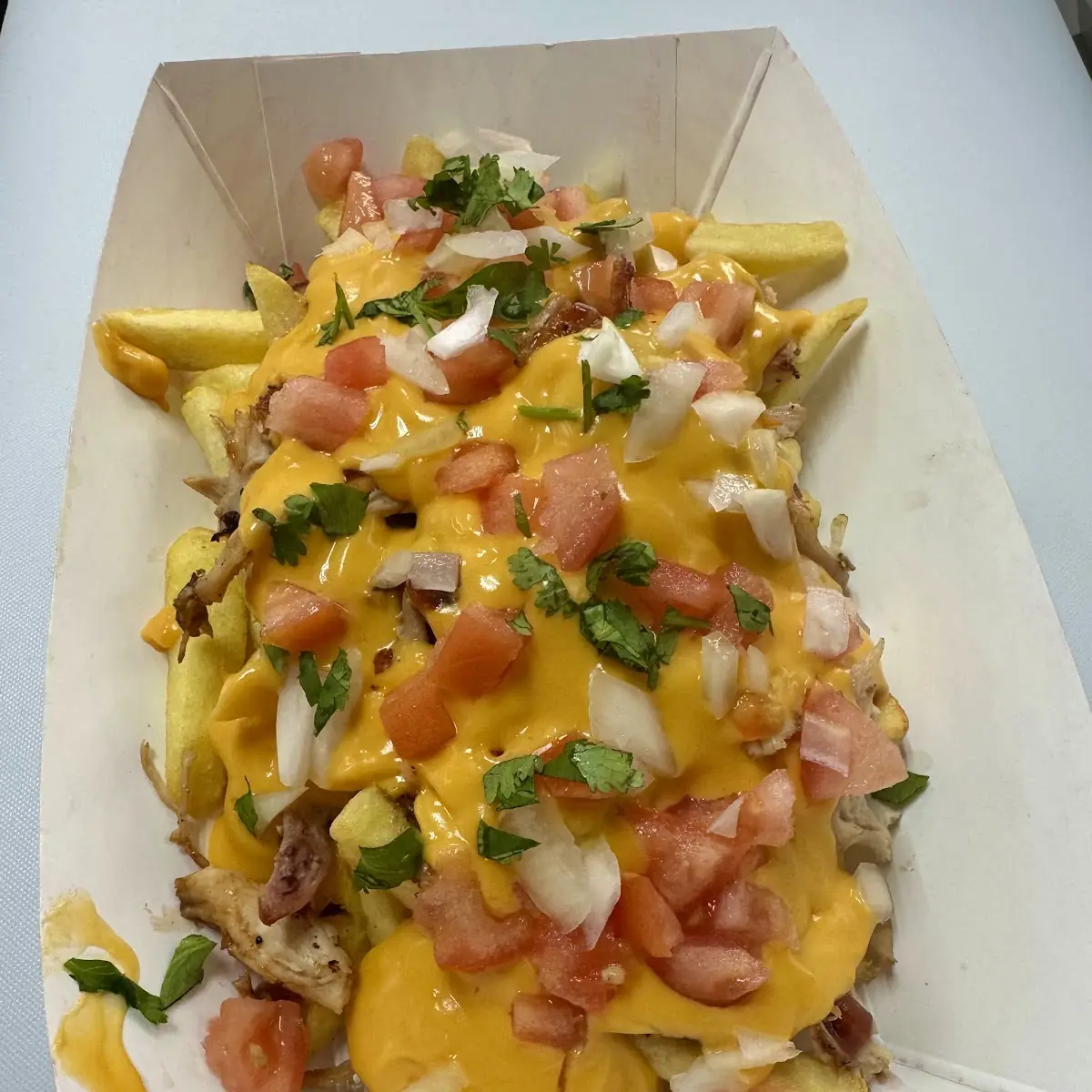 Loaded Cheese Fries