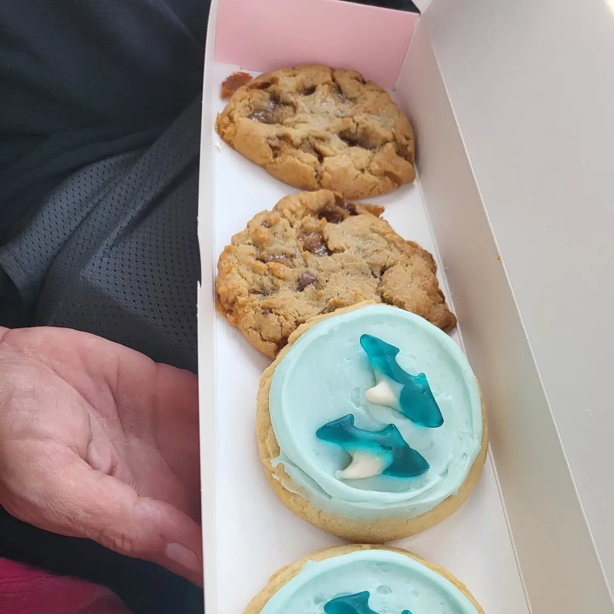 Chocolate Chip Toffee and Gummyshark