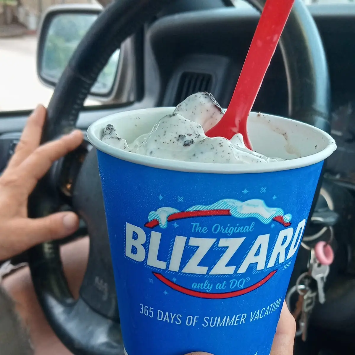 Mint Oreo Blizzard Treat