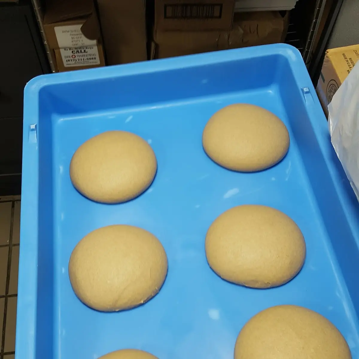 Pizza Looks Like