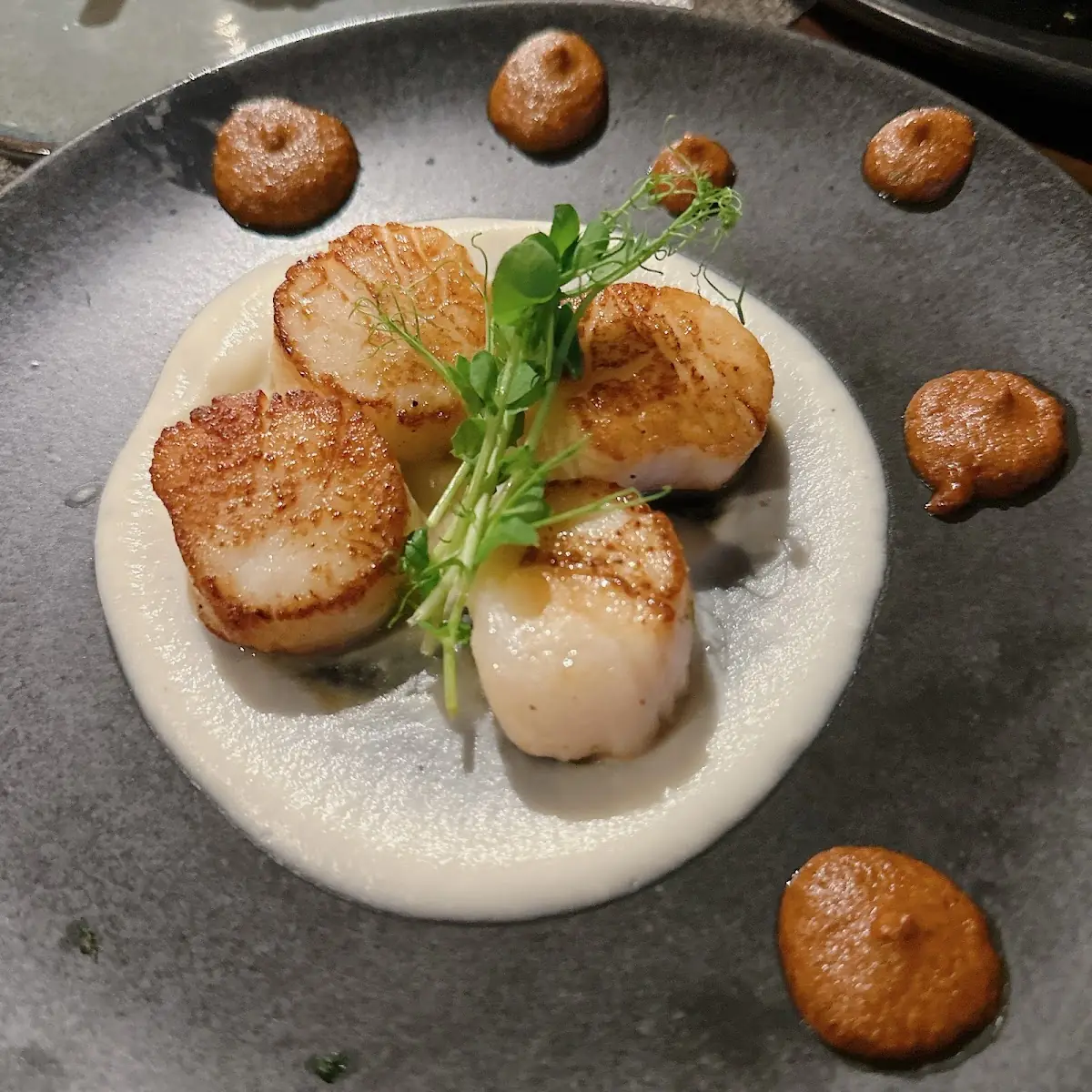 Pan Seared Scallops