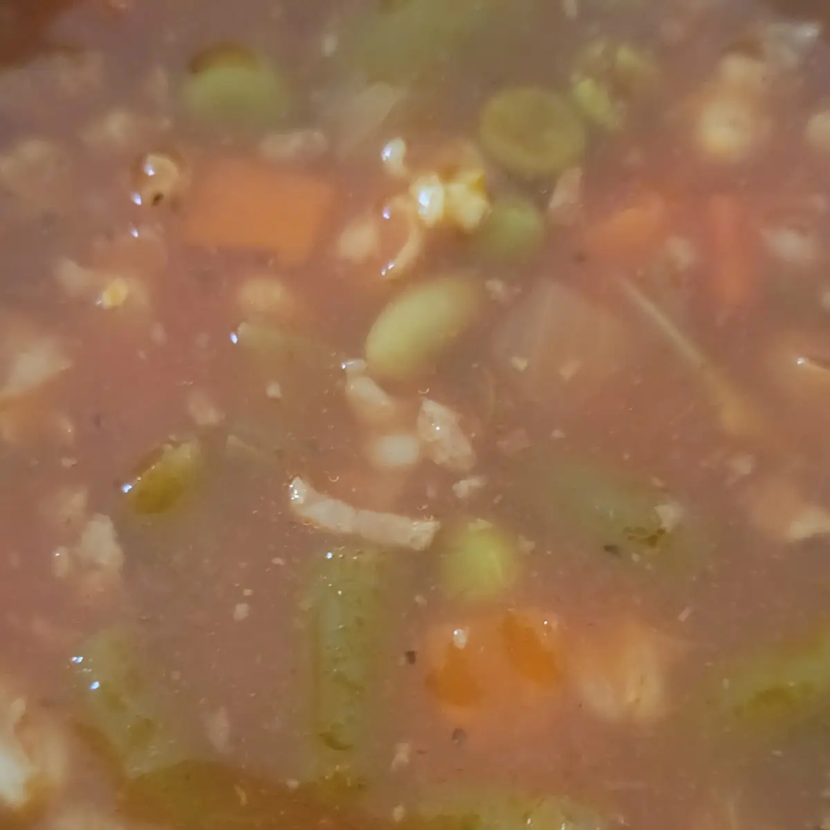 Vegetable Soup