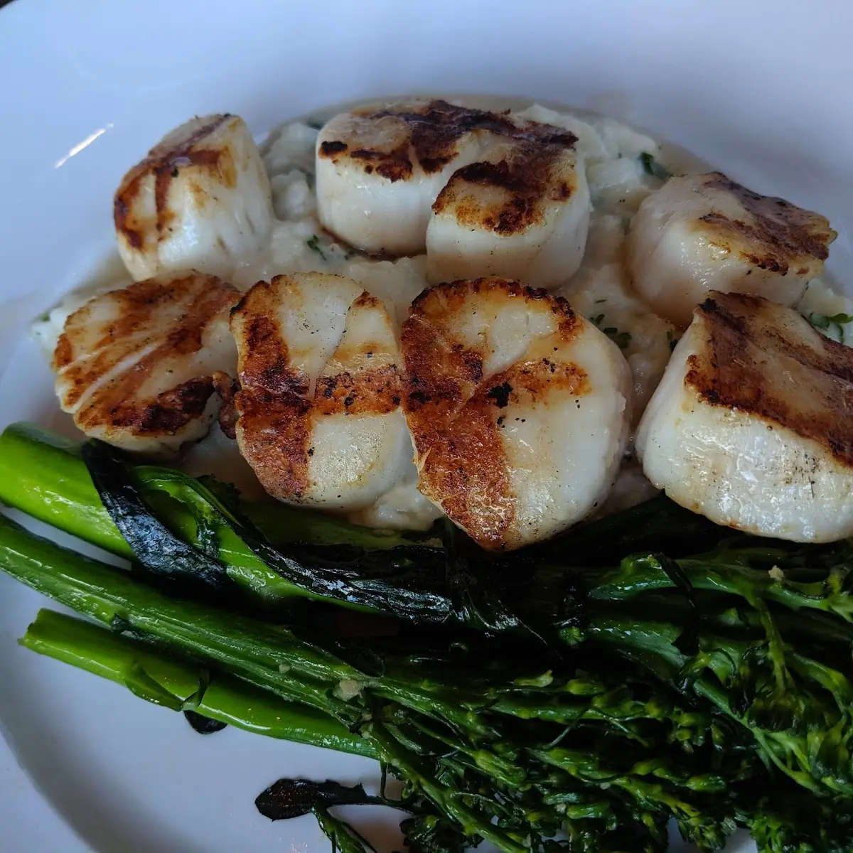 Caramelized Grilled Sea Scallops
