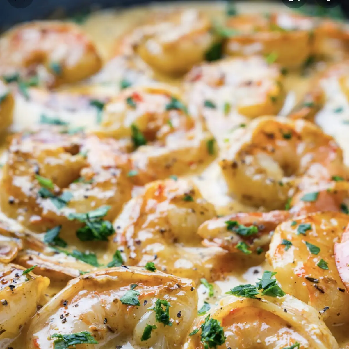 Fried or Grilled Shrimp
