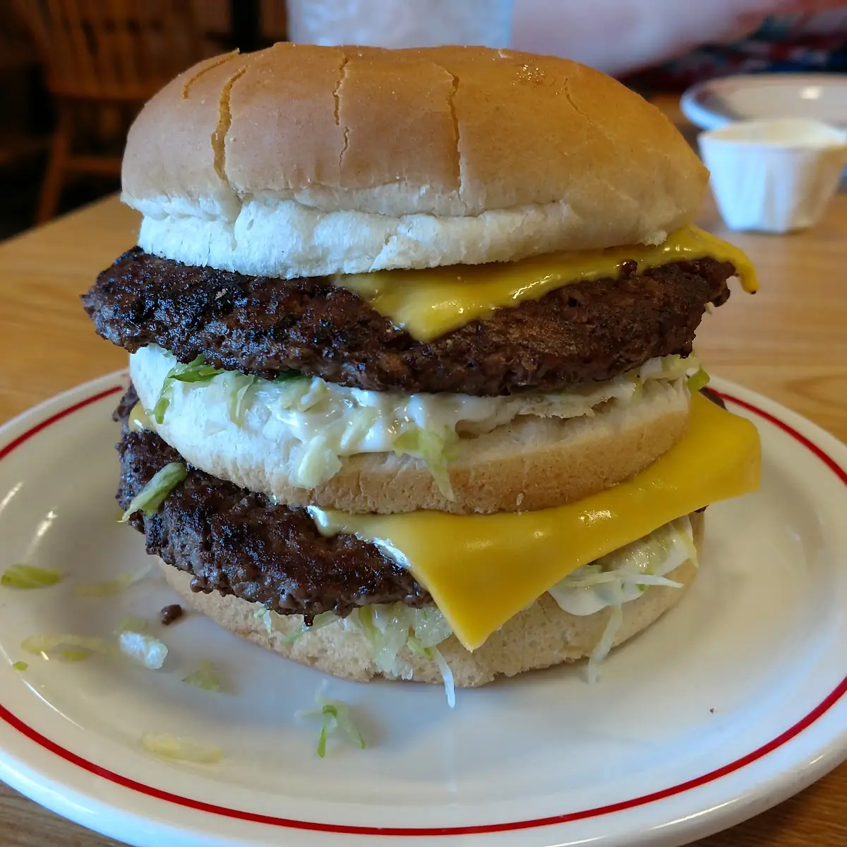 Double Cheeseburger with Slaw