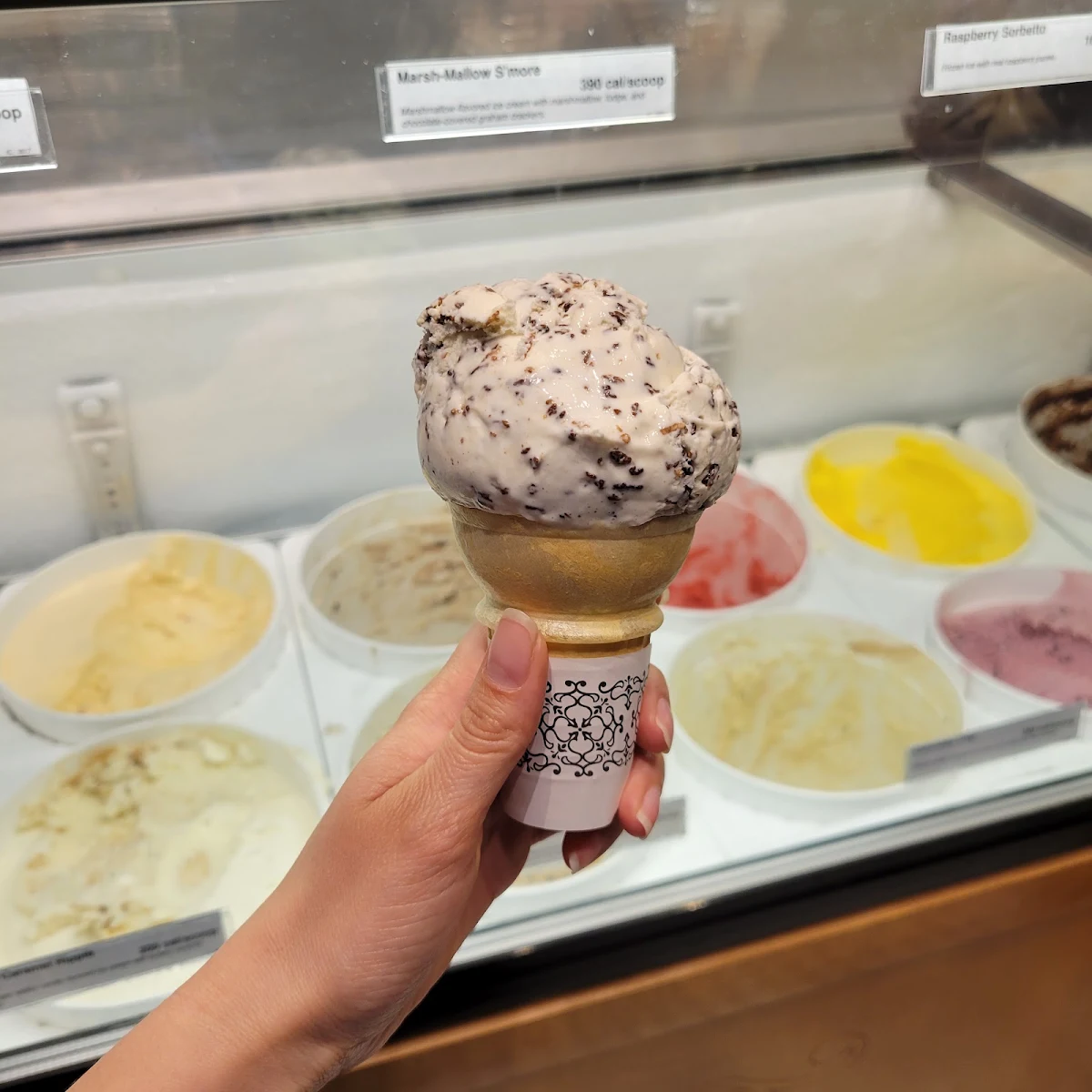Chocolate Chip Coconut Ice Cream Cone