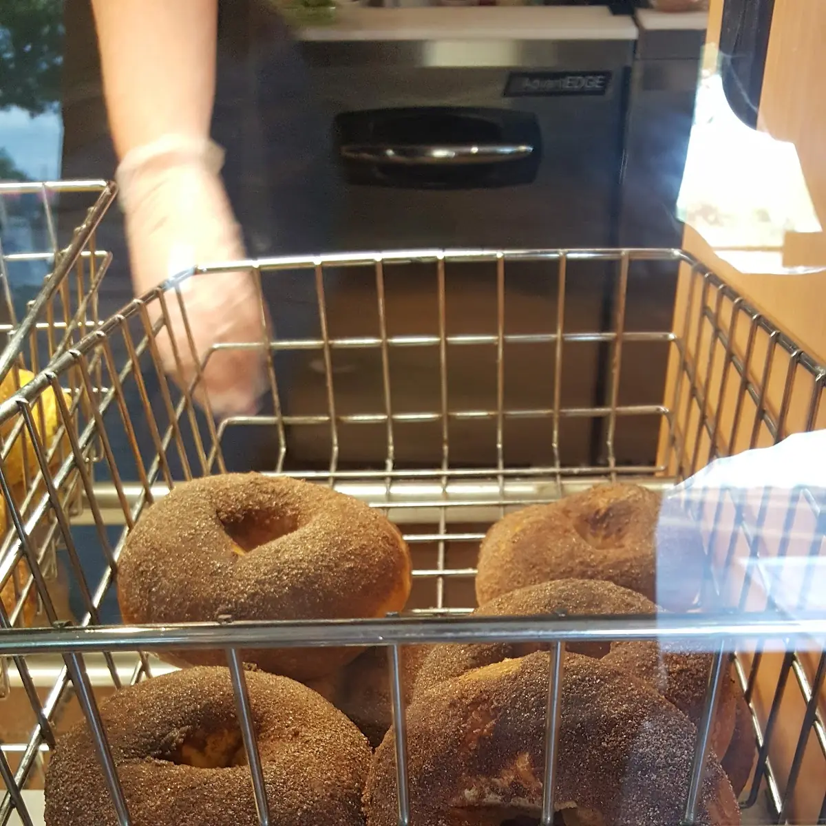Plain Bagel