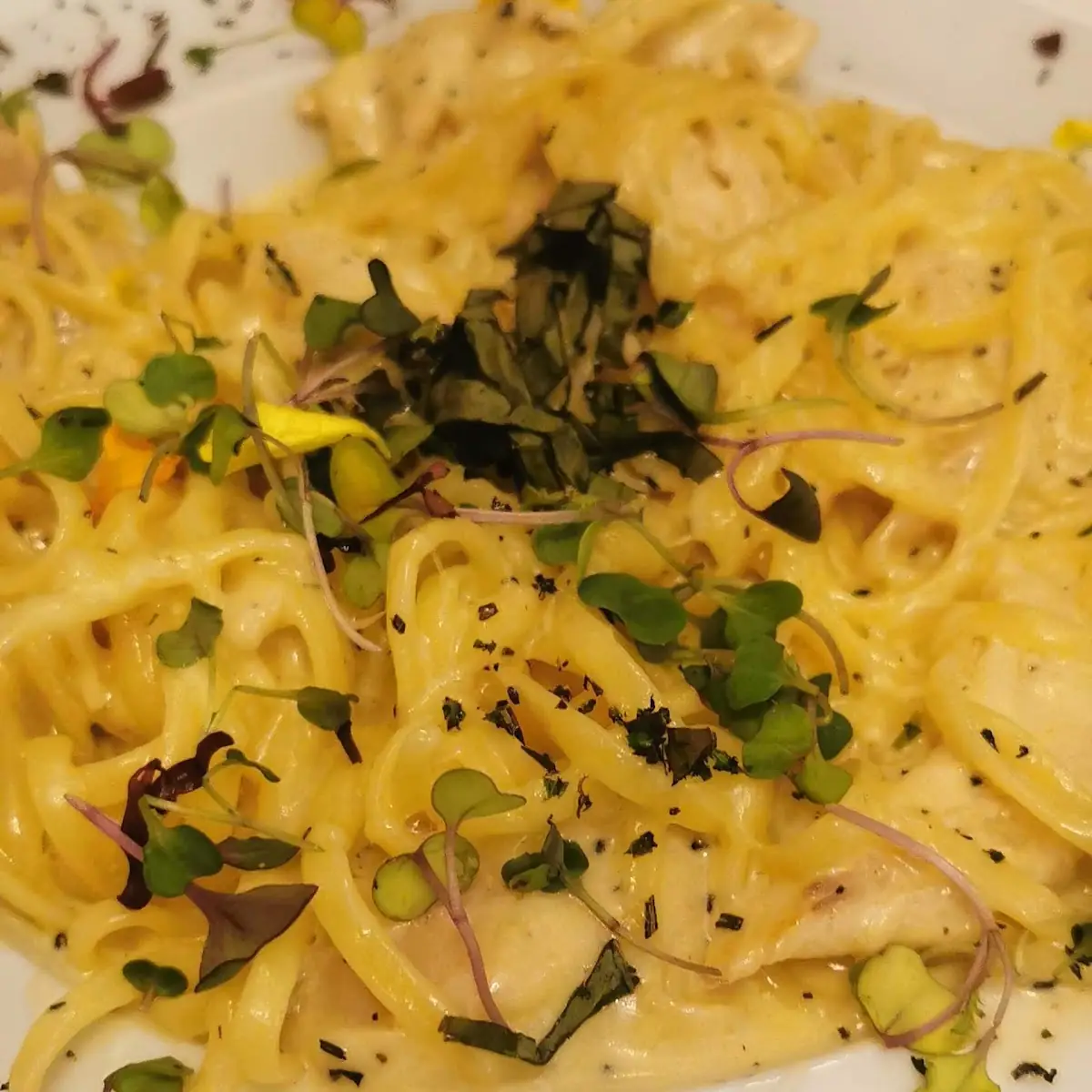 Grill Chicken Alfredo