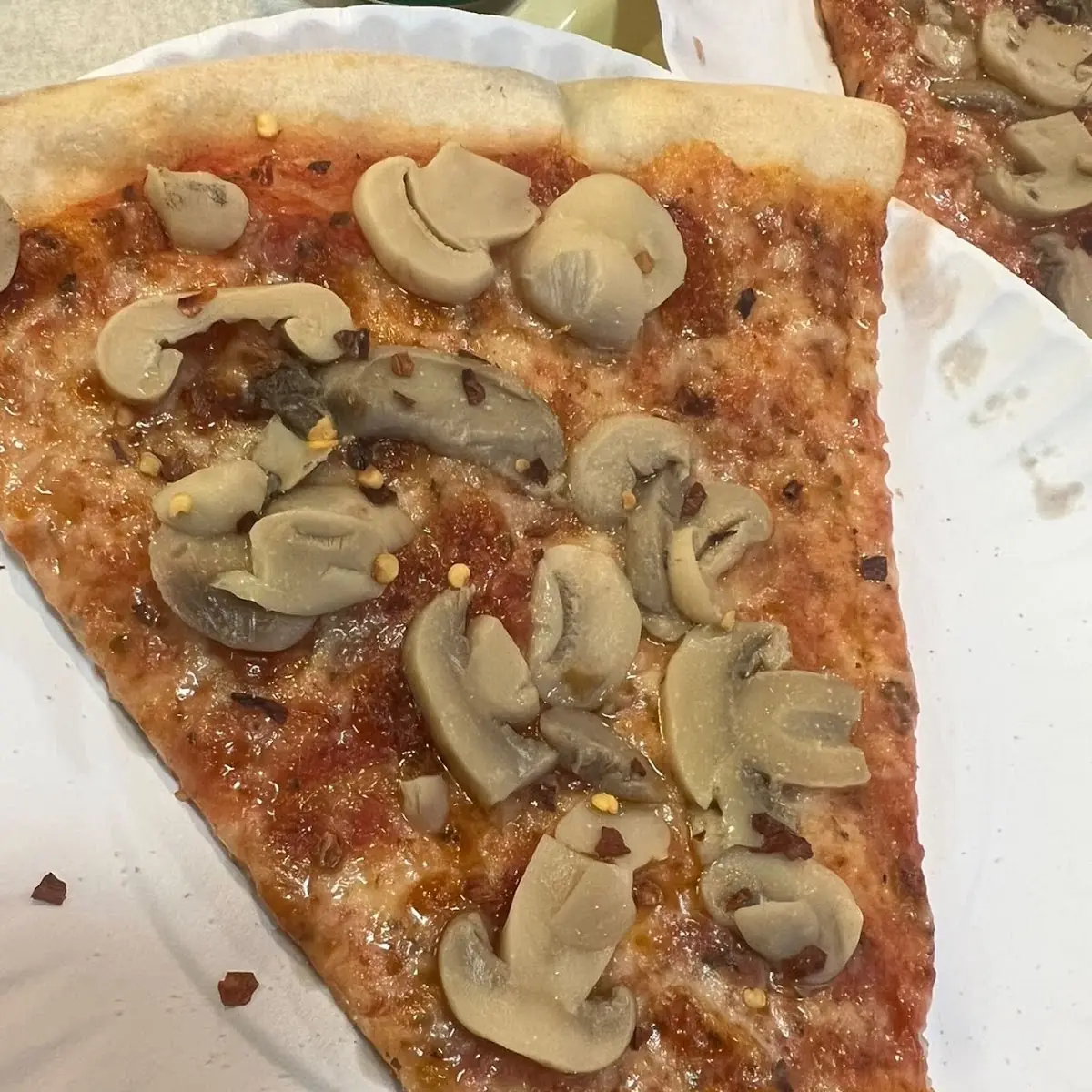 Mushroom Pizza