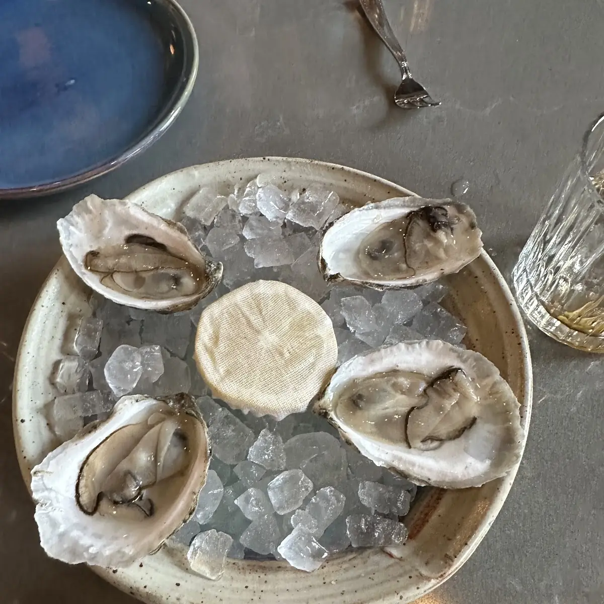 Fresh Oysters on Crushed Ice