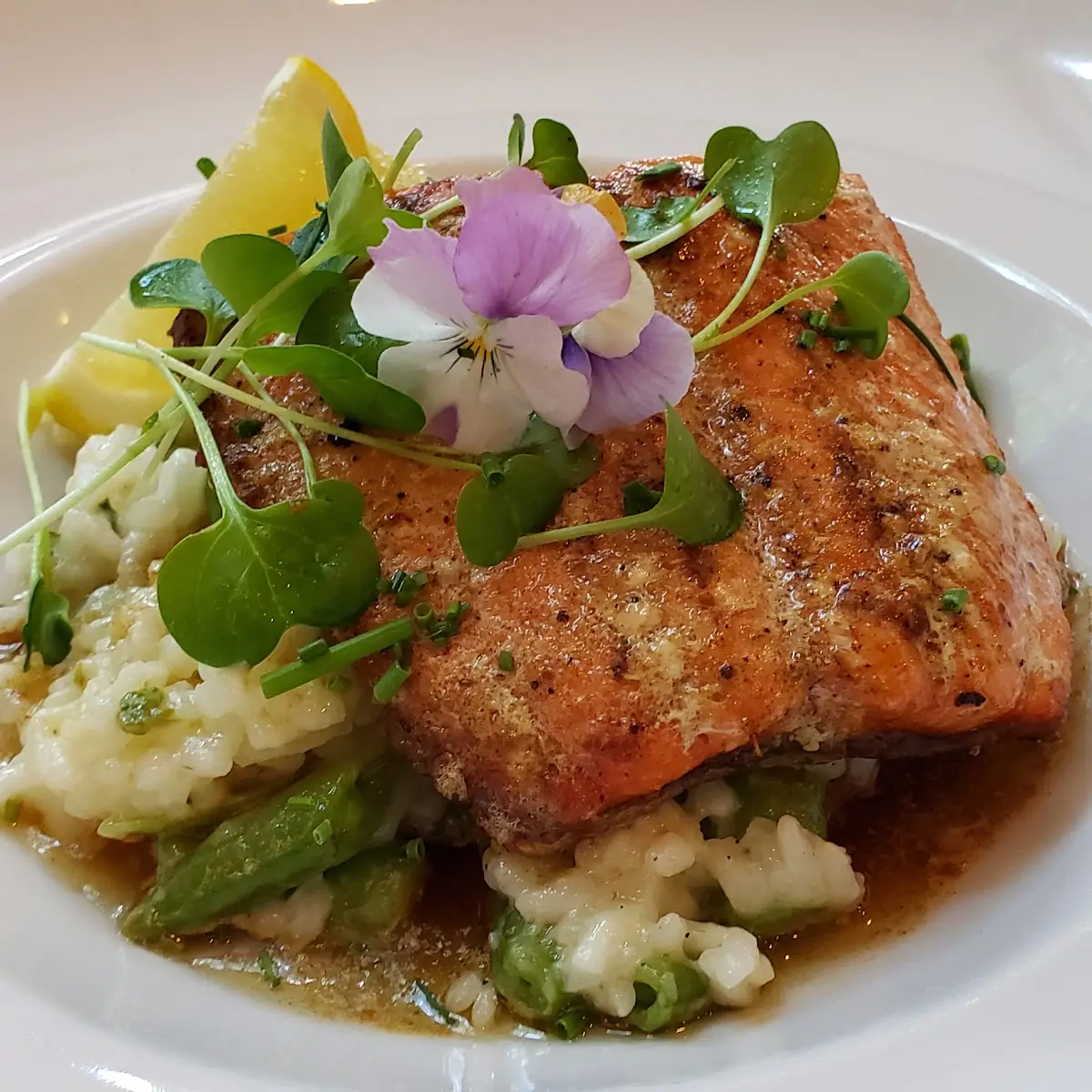 Pan Seared Walleye