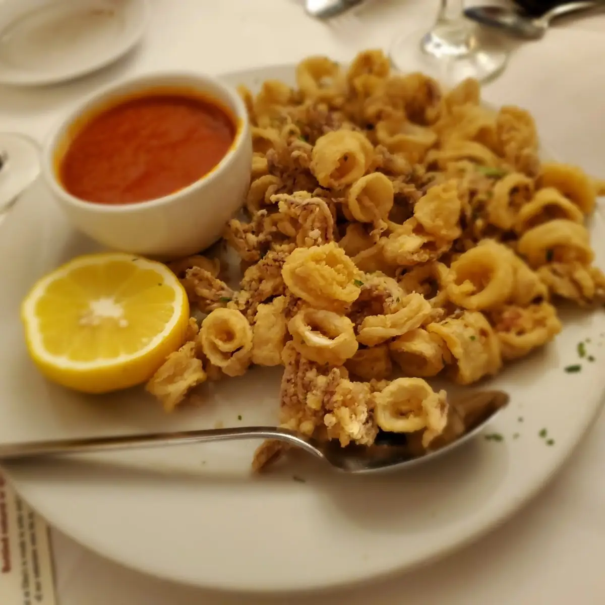 Fried Calamari