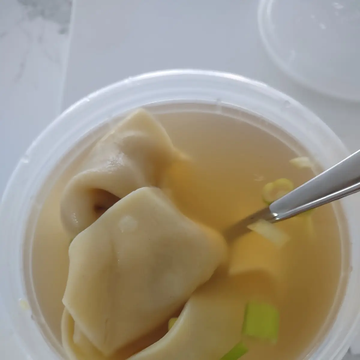 Wonton Soup