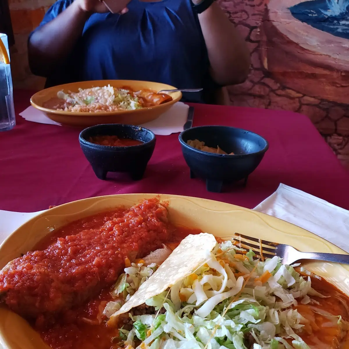 Chicken Mole Rice Beans and Tortilla