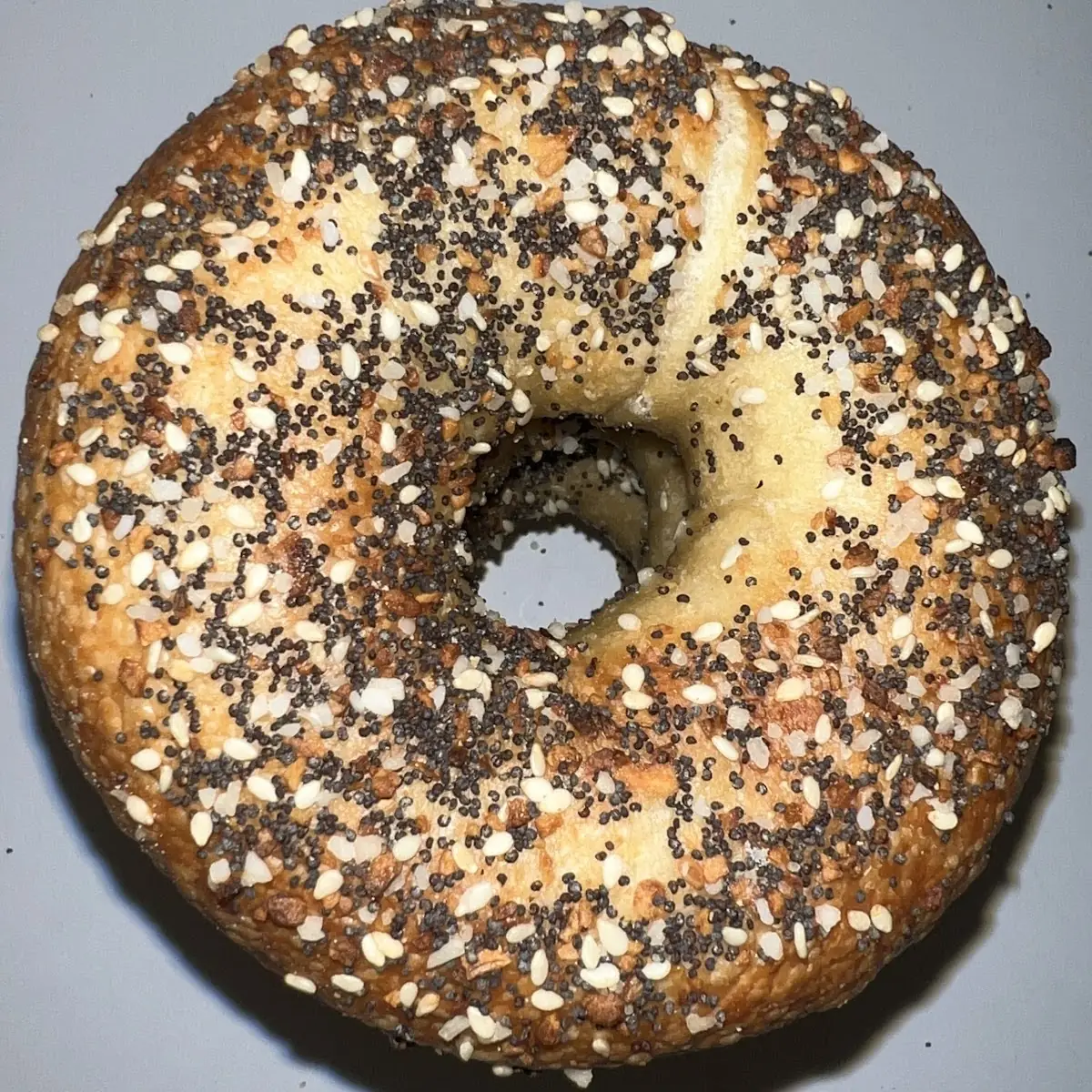 Bagel Everything Bagel