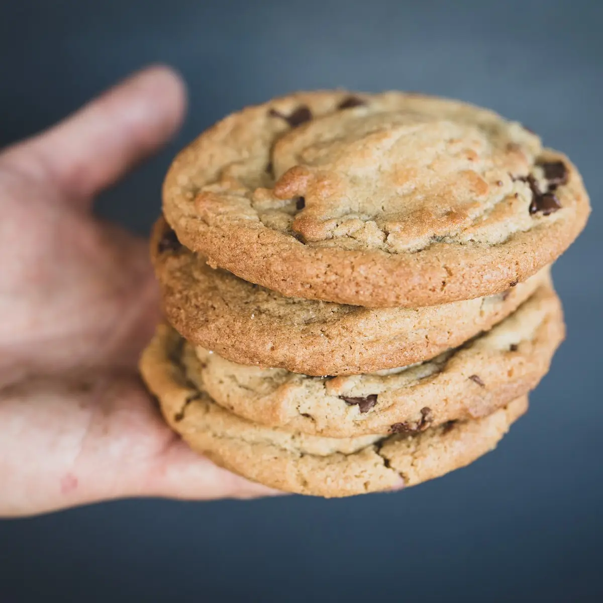 Half Dozen Chocolate Chip Cookies