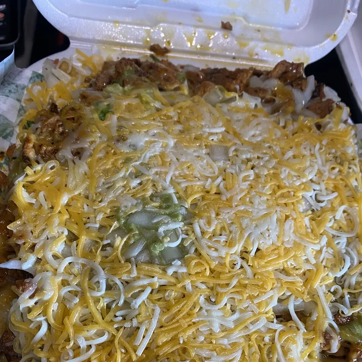 Carne Asada Fries