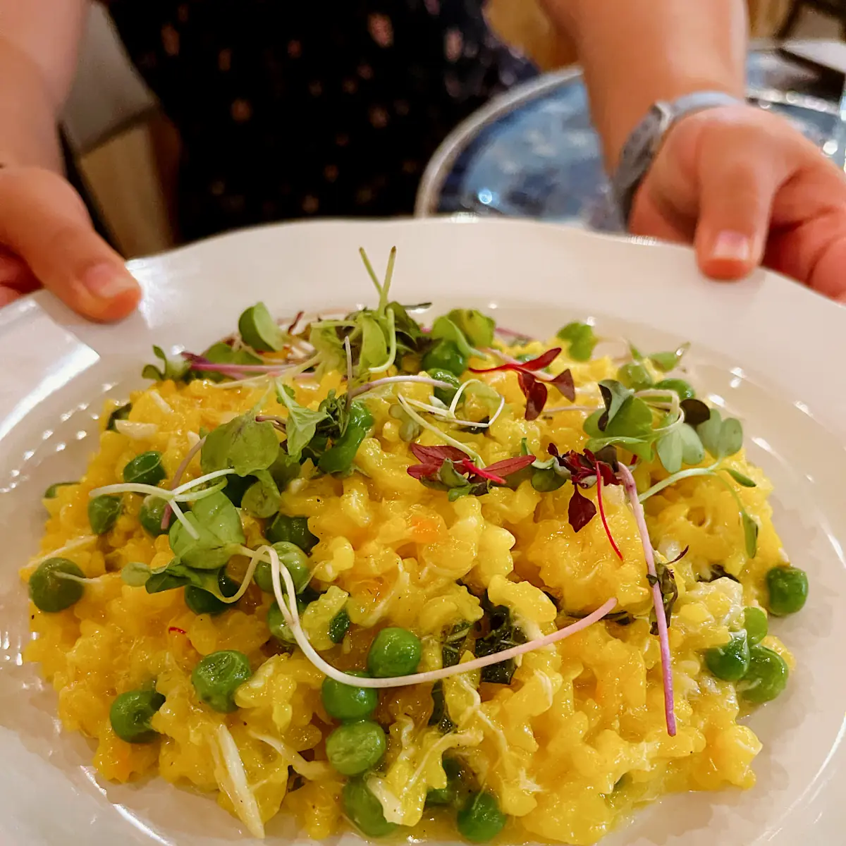 Saffron Risotto