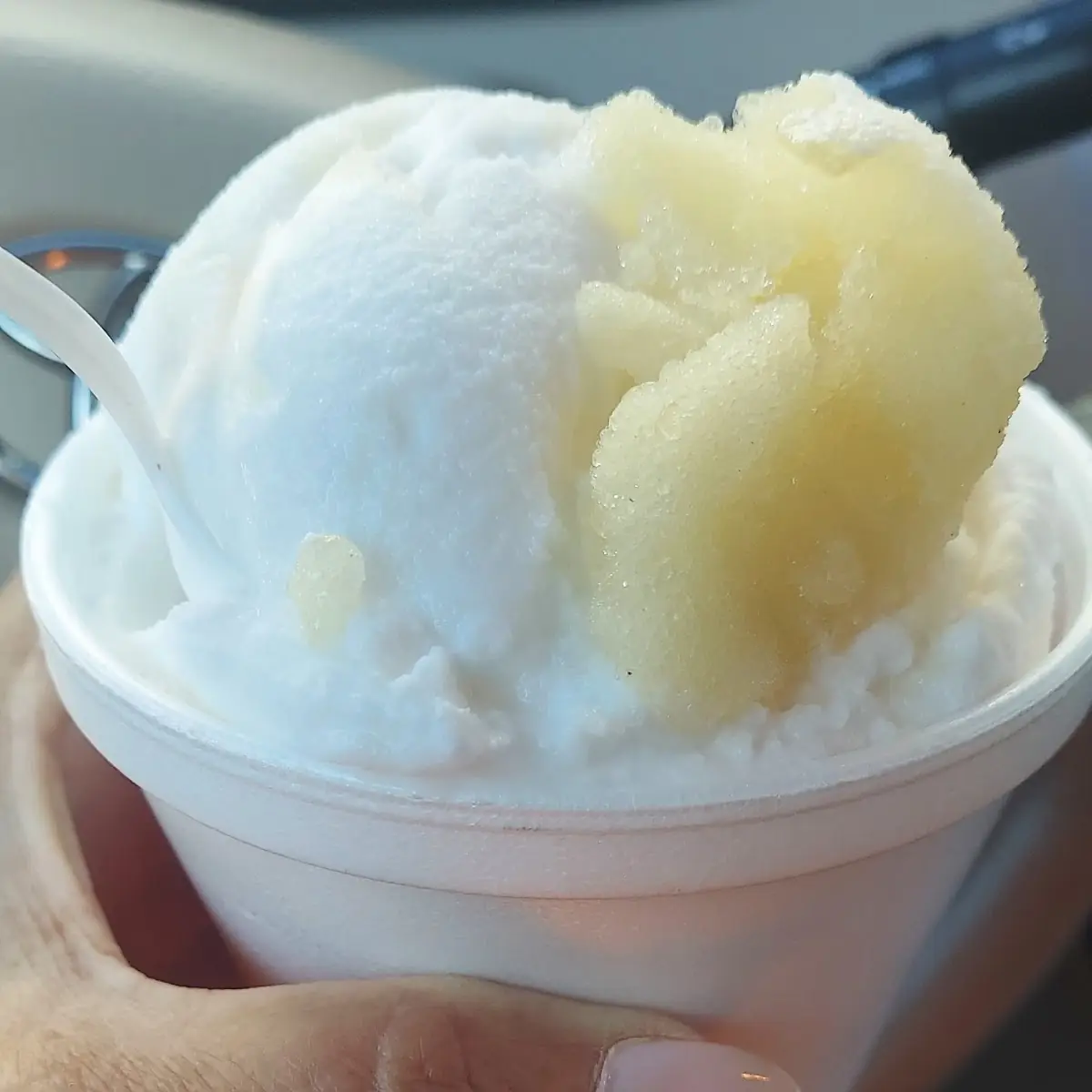 Passion Fruit and Coconut Water Ice