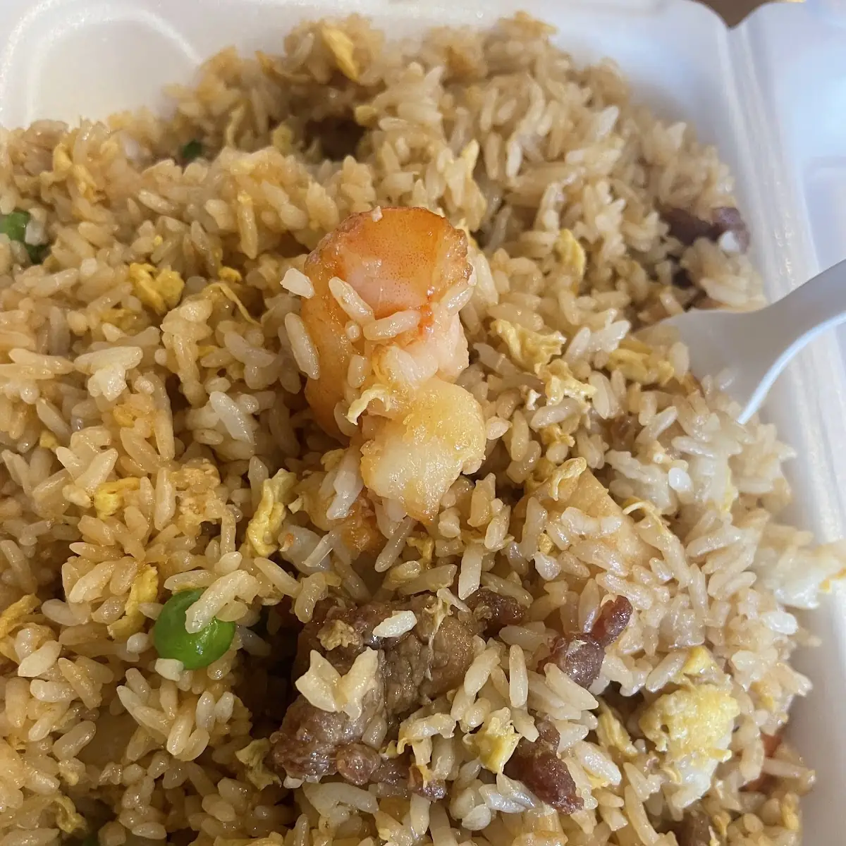 Convination Strim Steak and Chicken Fried Rice