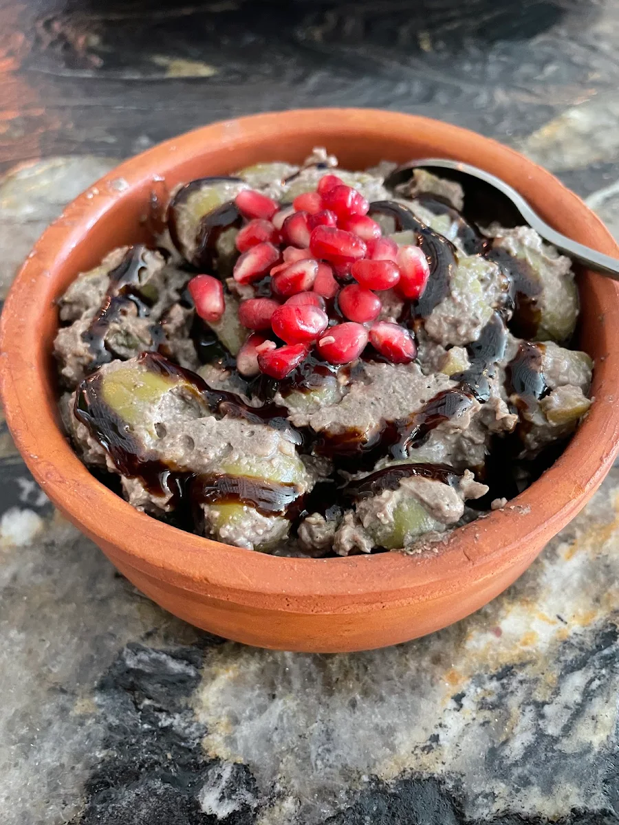 Zeytoon Parvardeh T