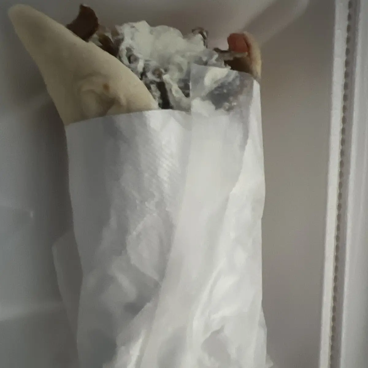 Gyro Sandwich