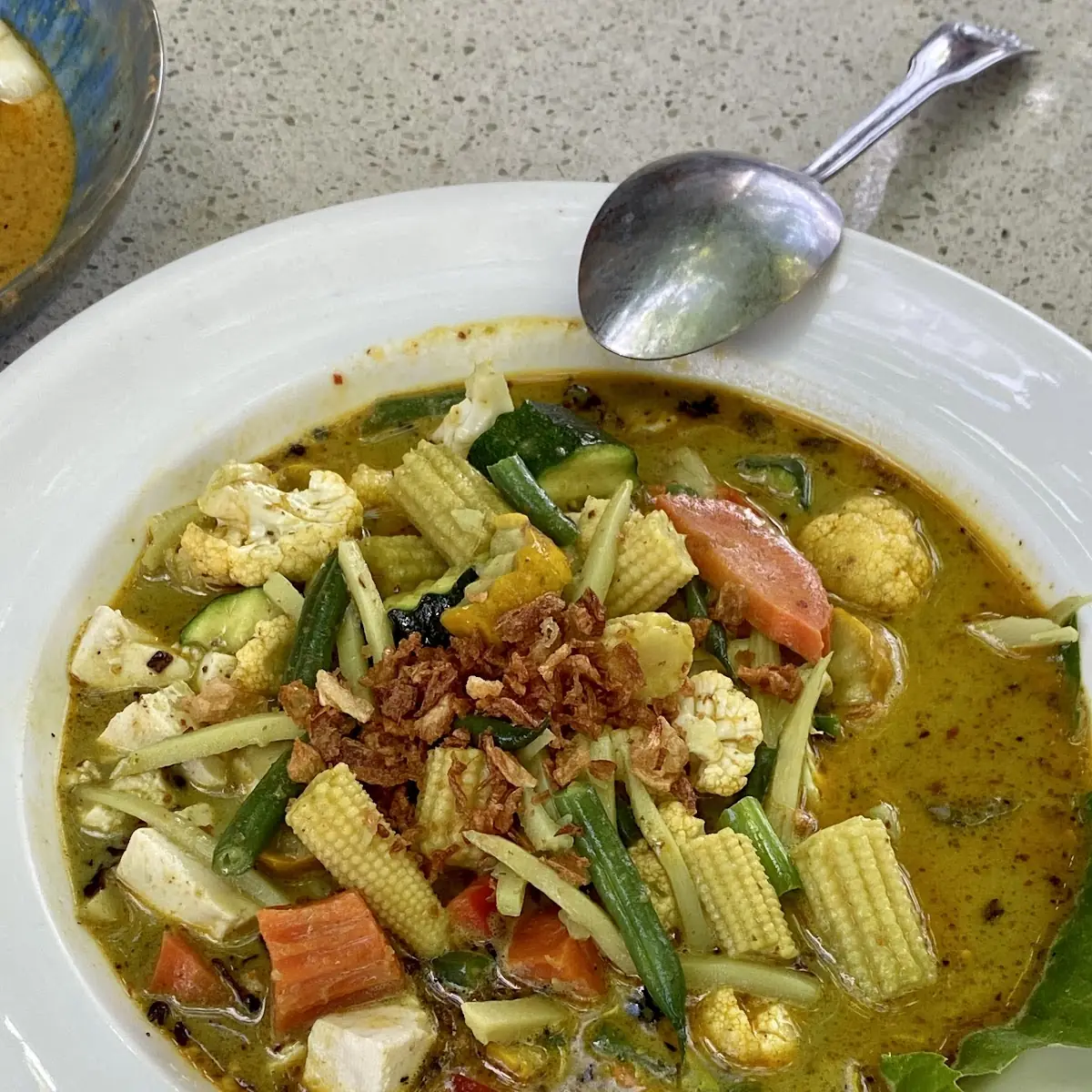 Vegetarian Green Curry, Dolci Thai Bistro