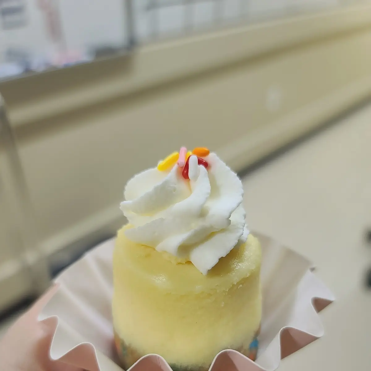 Birthday Cake Cheesecake