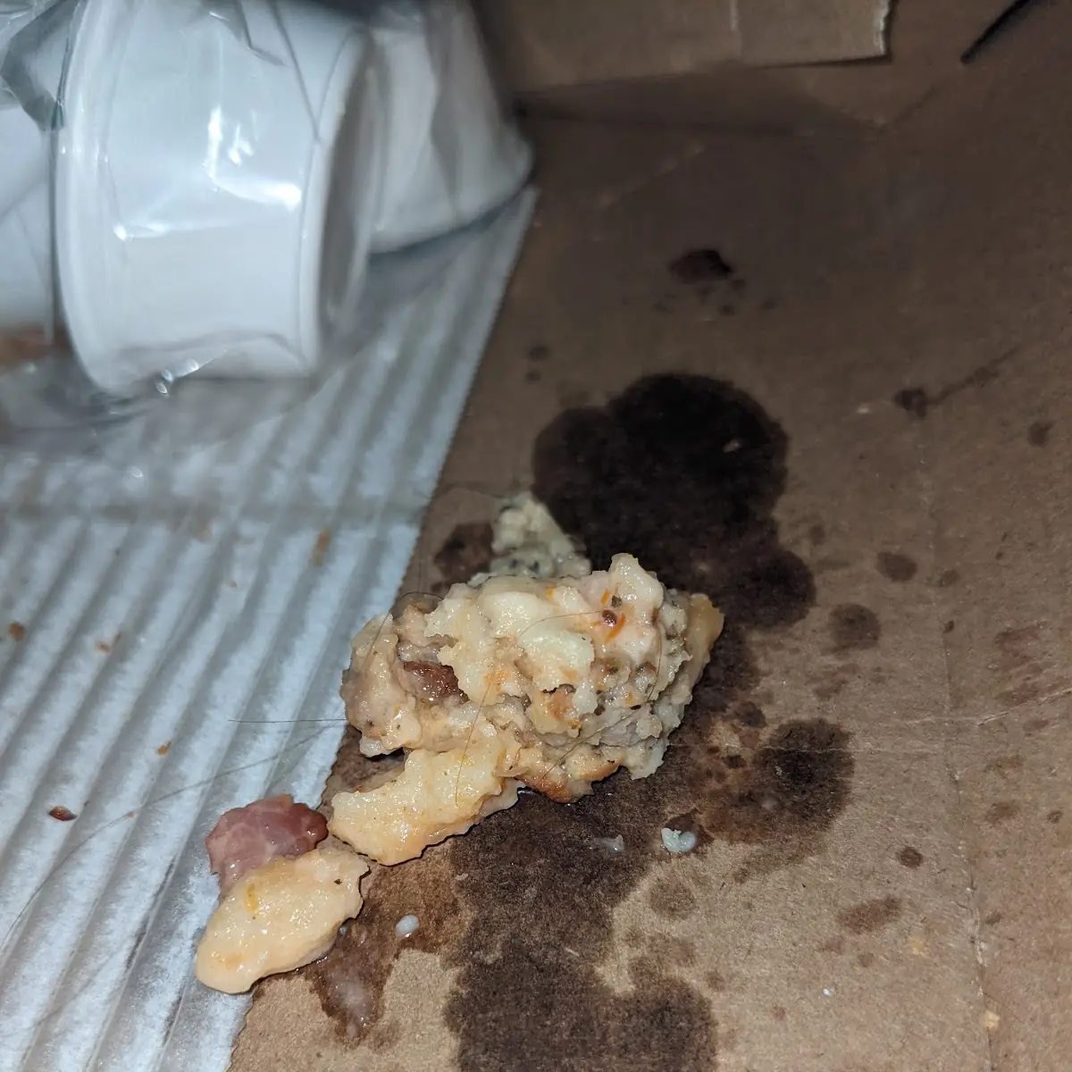 Hair in the Pizza