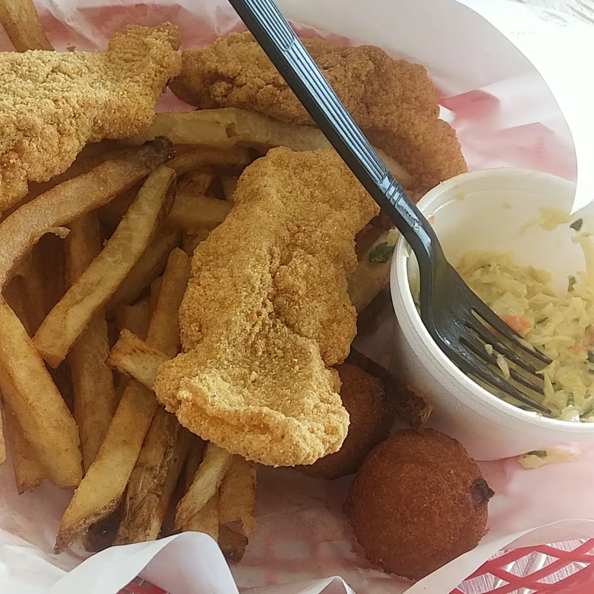 Catfish Fillet