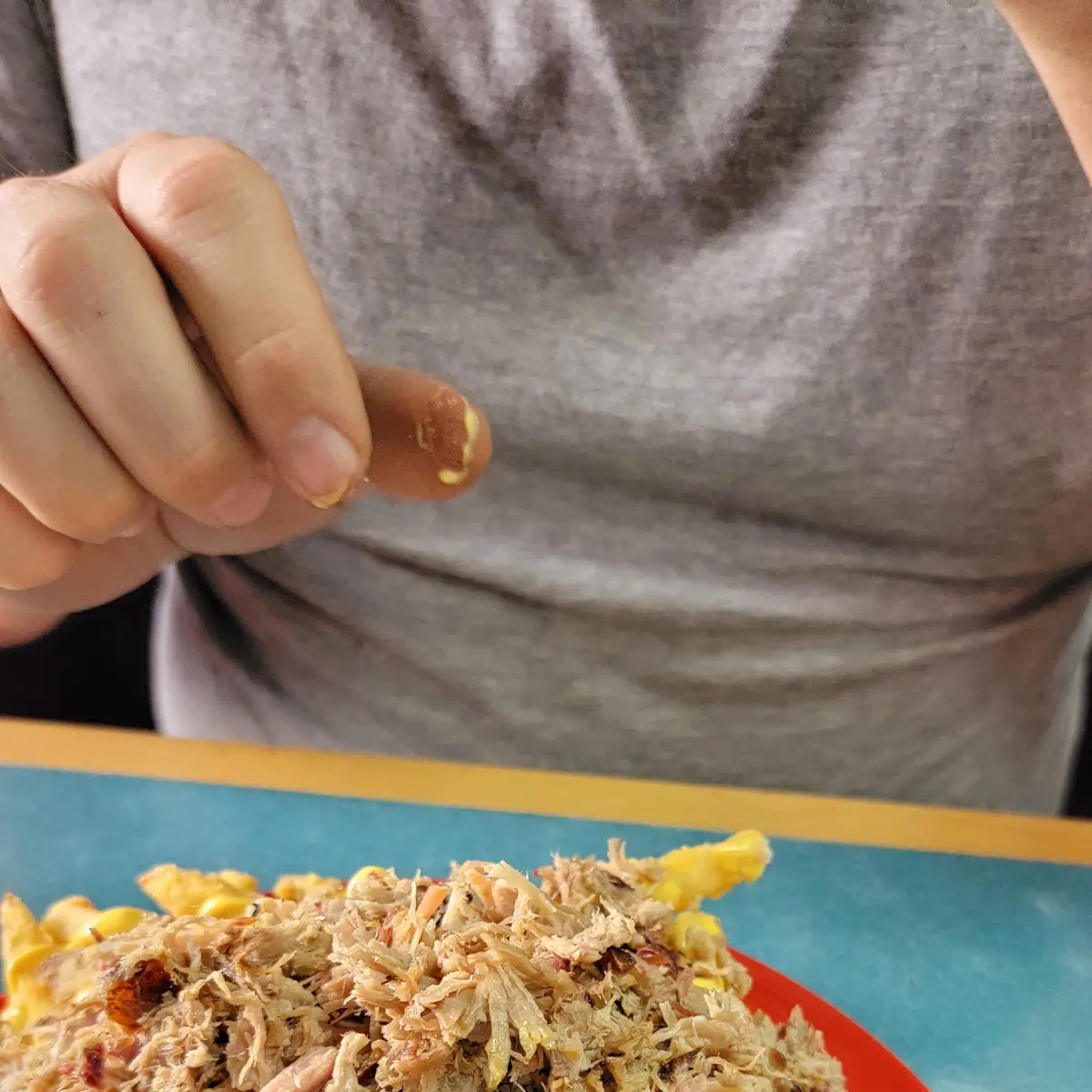 BBQ Cheese Fries