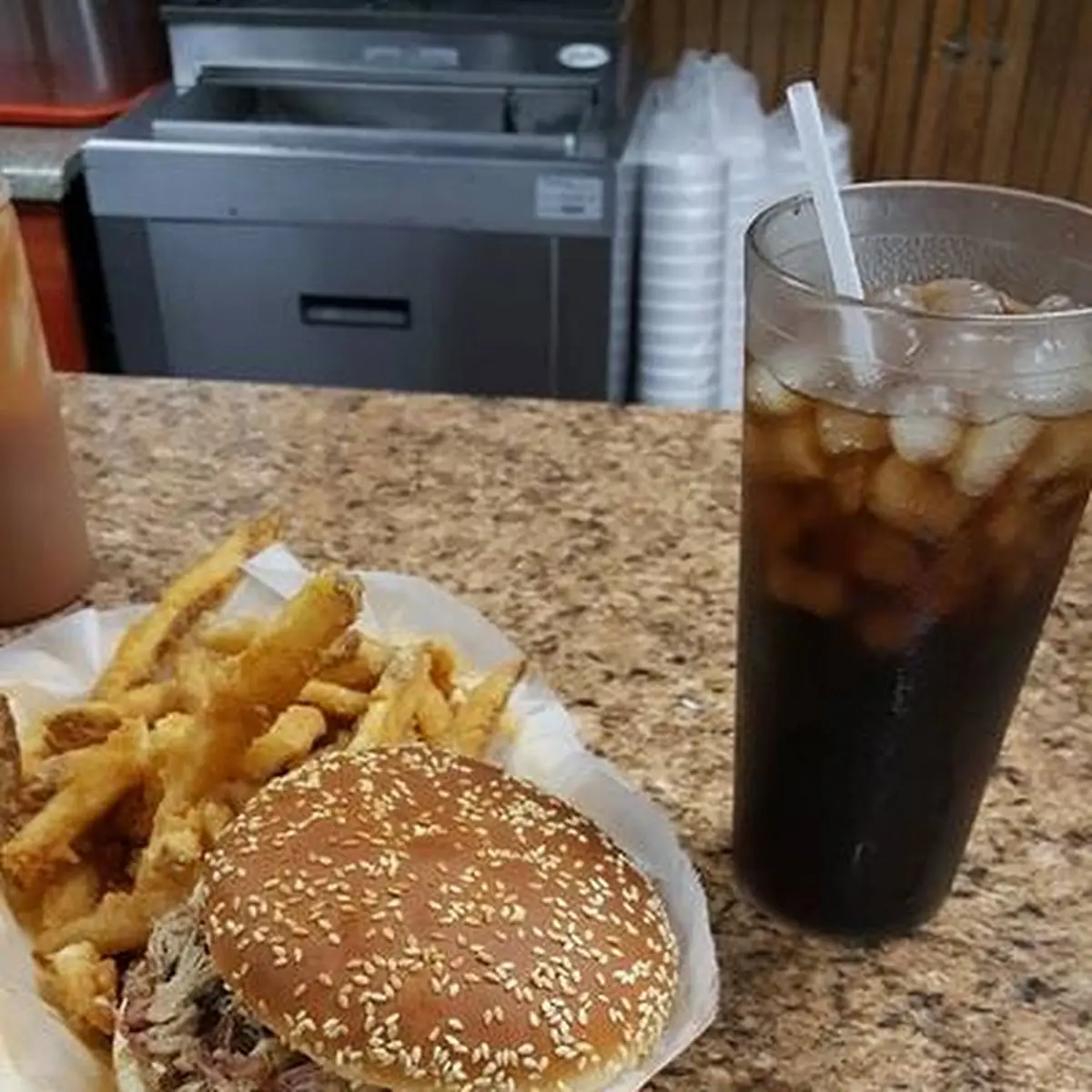 Pulled Pork with Fries and Slaw