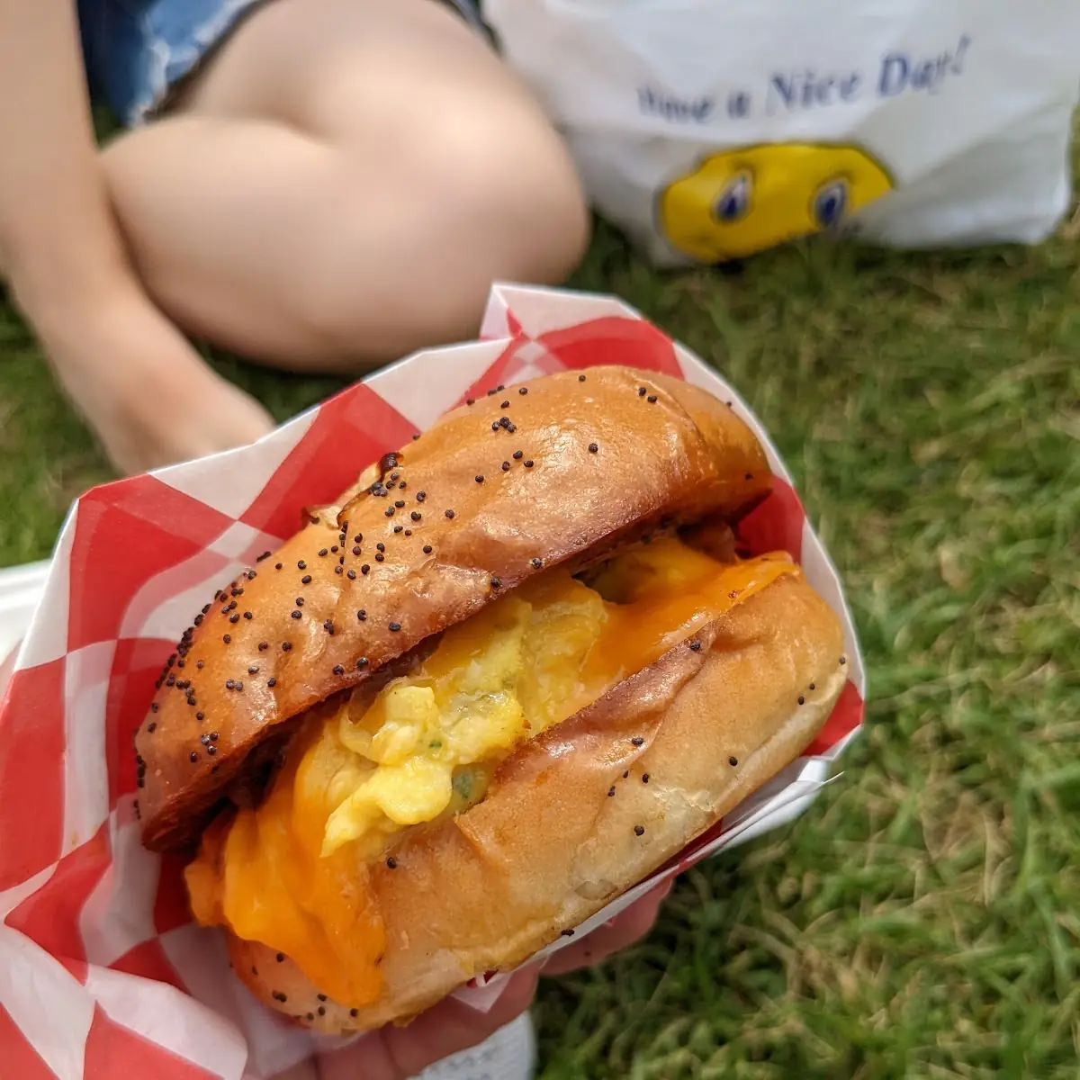 Egg & Cheese on Bun