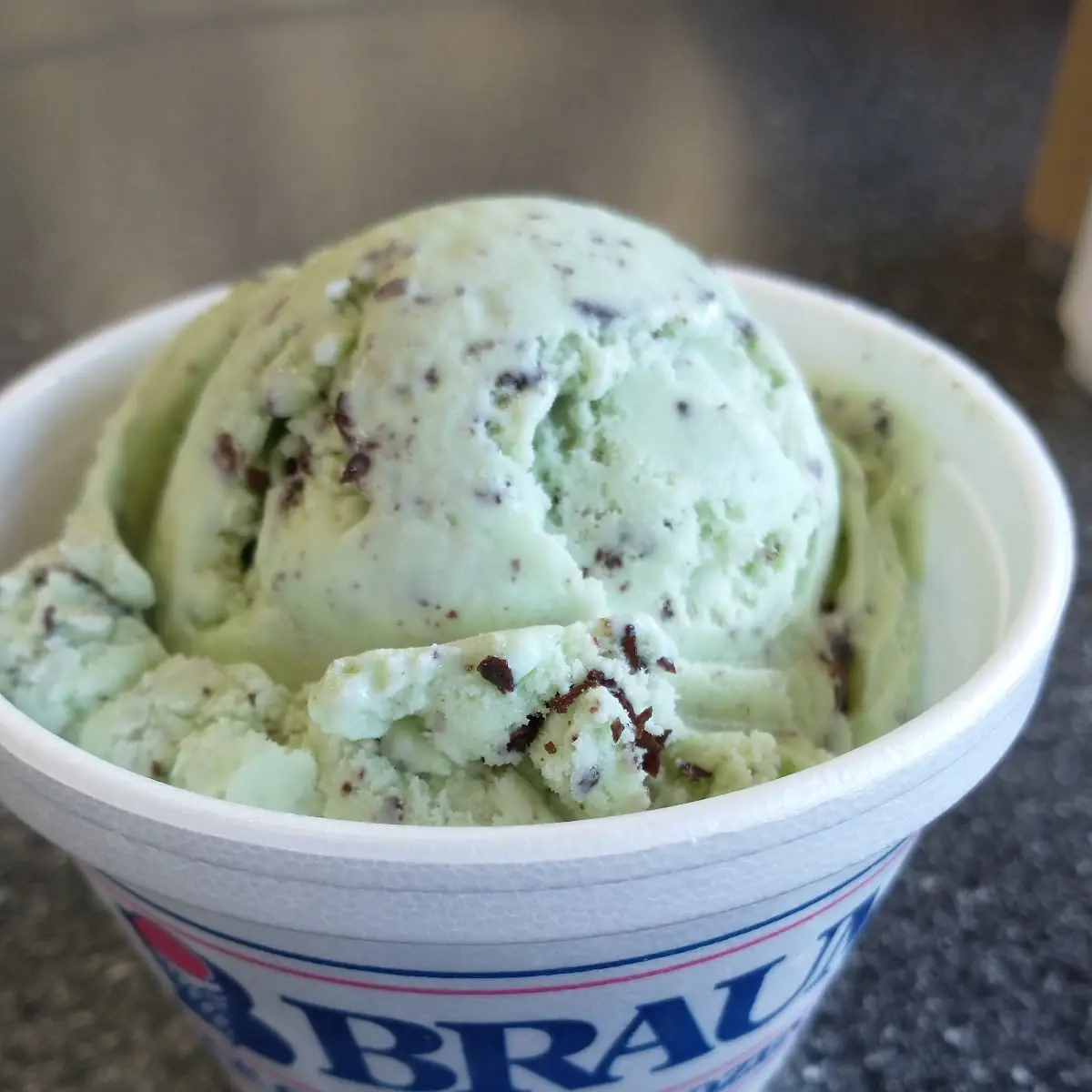 Mint Chocolate Ice Cream